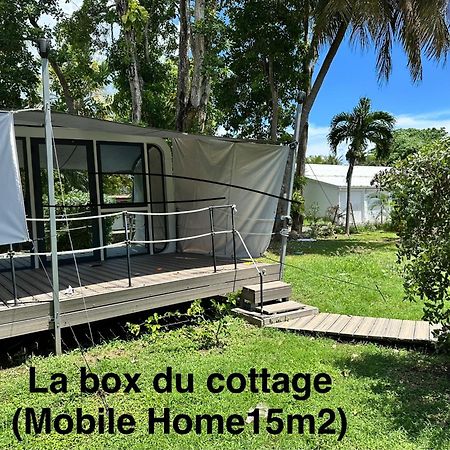 Le Cottage De Castaing Sur Plage Privee Сент-Анн Екстер'єр фото
