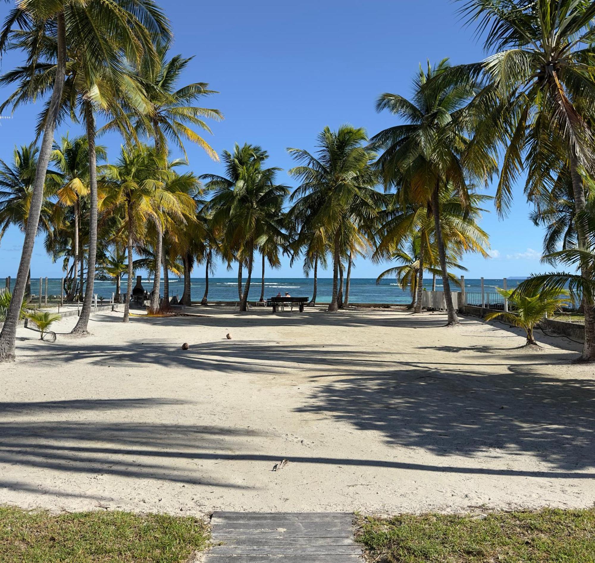 Le Cottage De Castaing Sur Plage Privee Сент-Анн Екстер'єр фото
